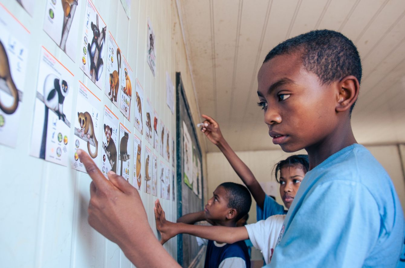 About the Aye-aye and Mouse Lemur in Madagascar campaign on Bonfire 2