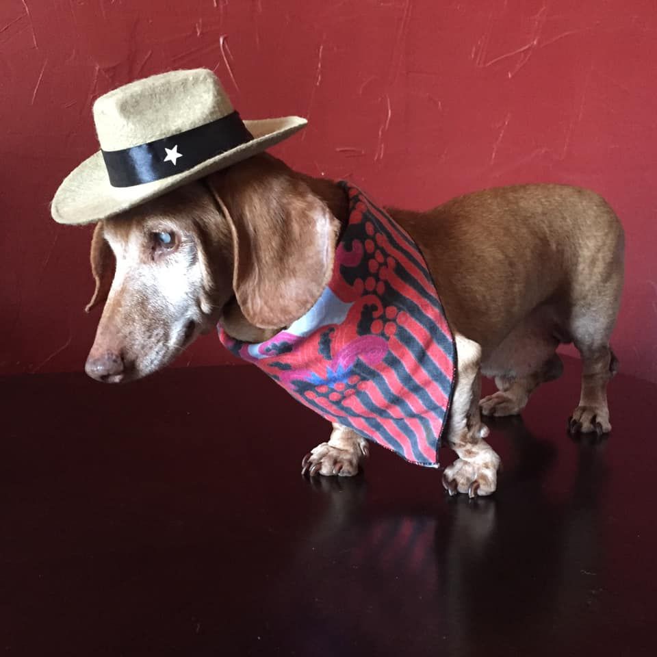 About the Trooper's Dream - Rescue One campaign on Bonfire 1