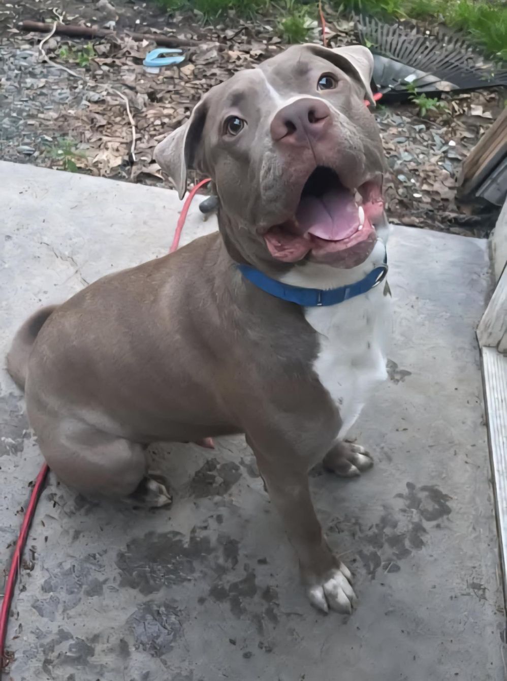 About the Murphy Campaign campaign on Bonfire 2