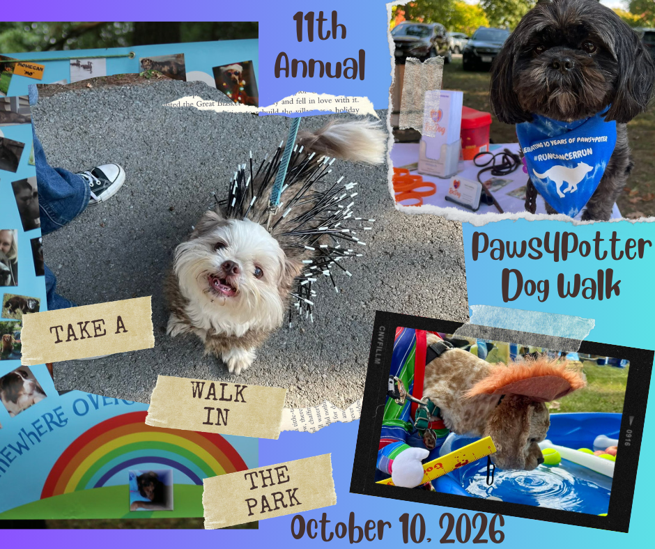 About the Paws4Potter's 11th Annual Dog Walk campaign on Bonfire 2