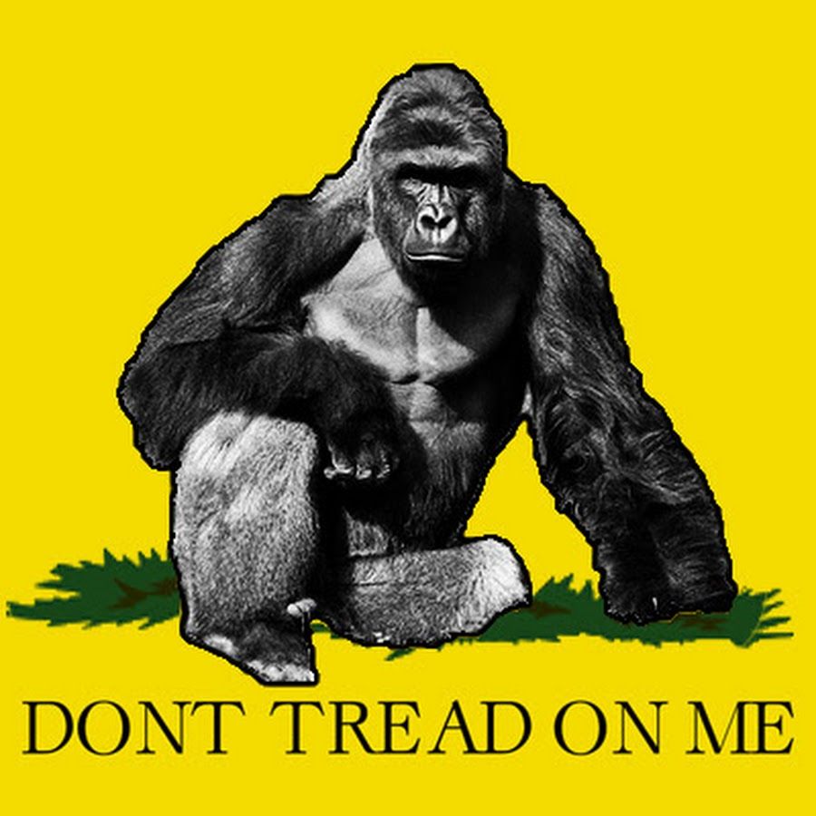 About the JOHN WARD MERCH campaign on Bonfire 2