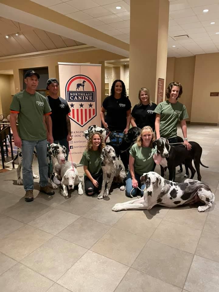 About the NEC Sweatshirt campaign on Bonfire 2