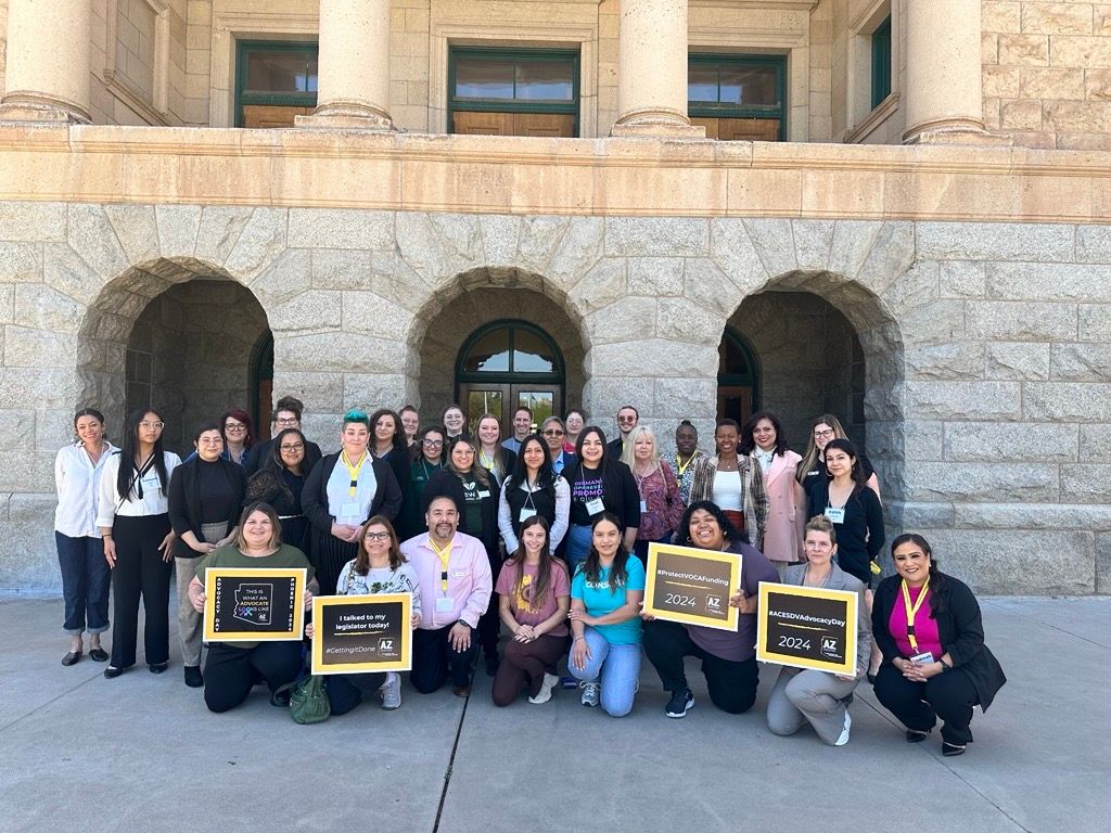 About the ACESDV Advocacy Polo campaign on Bonfire 2