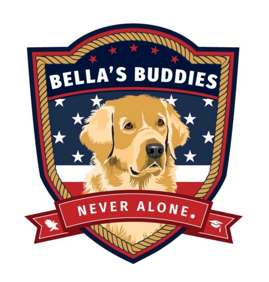 About the  campaign on Bonfire 2