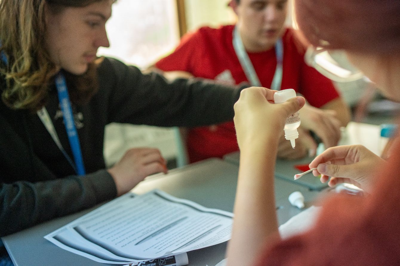 About the Washington campaign on Bonfire 4