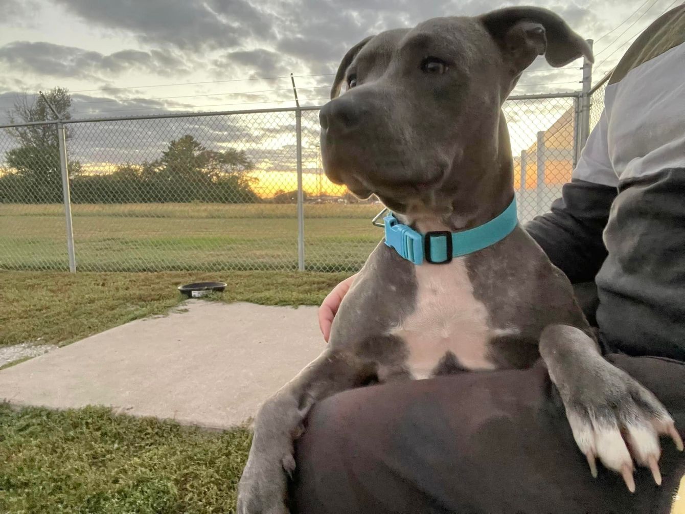 About the AHeinz57 campaign on Bonfire 2