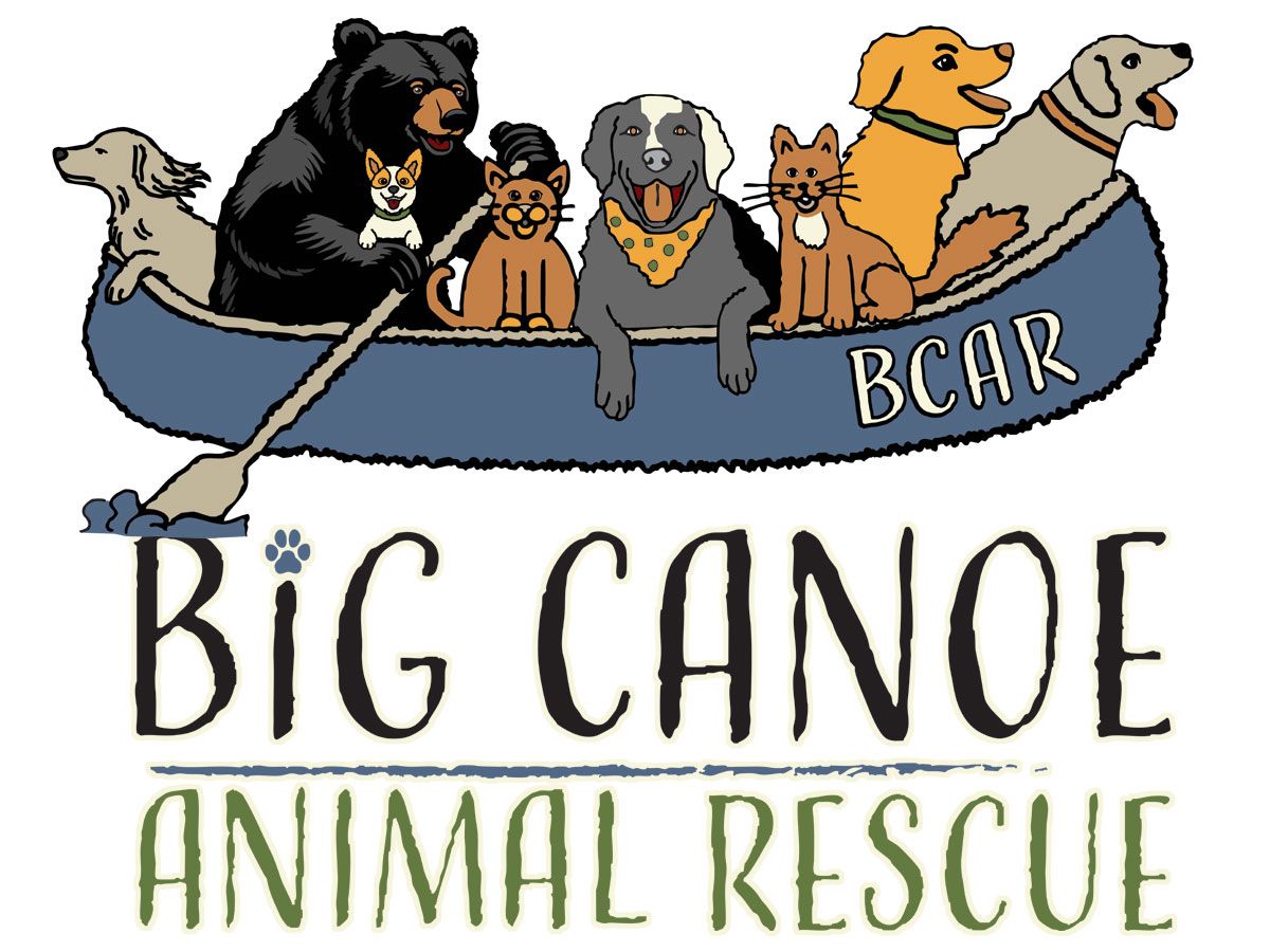 About the Big Canoe Animal Rescue: Tees and Sweatshirts campaign on Bonfire 2