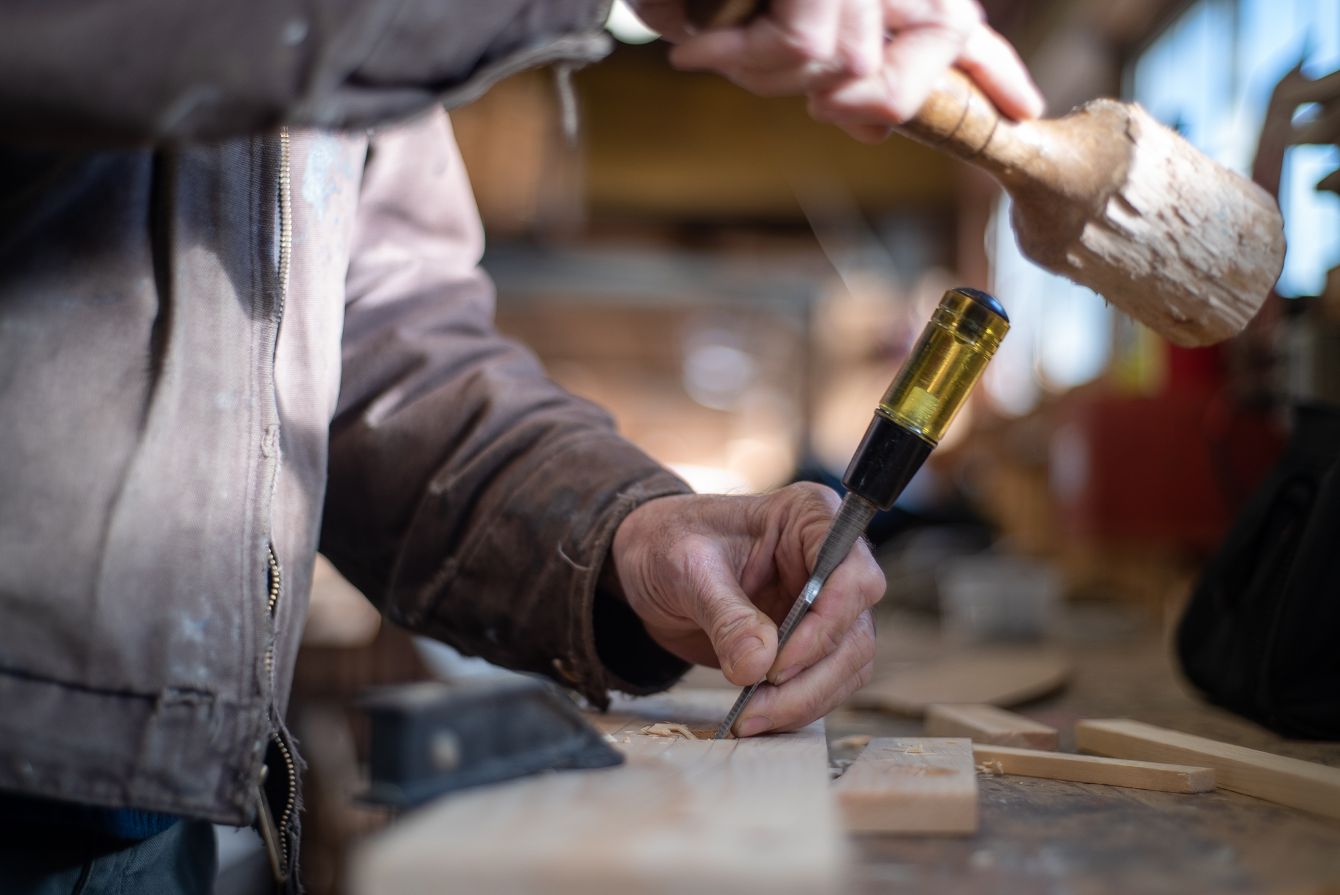 About the  campaign on Bonfire 2