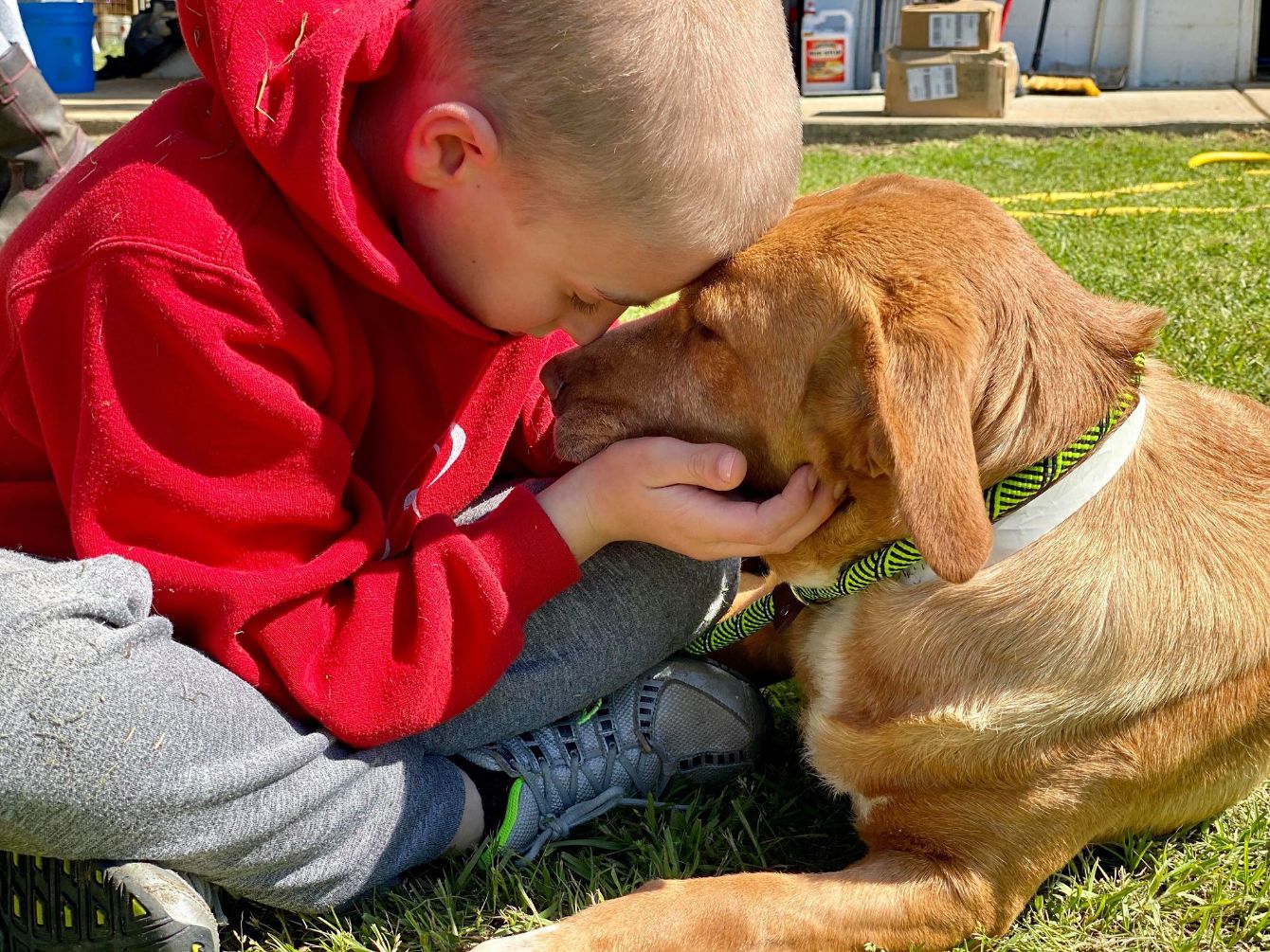 About the PFR - No Dog Deserves To Feel Unwanted campaign on Bonfire 2