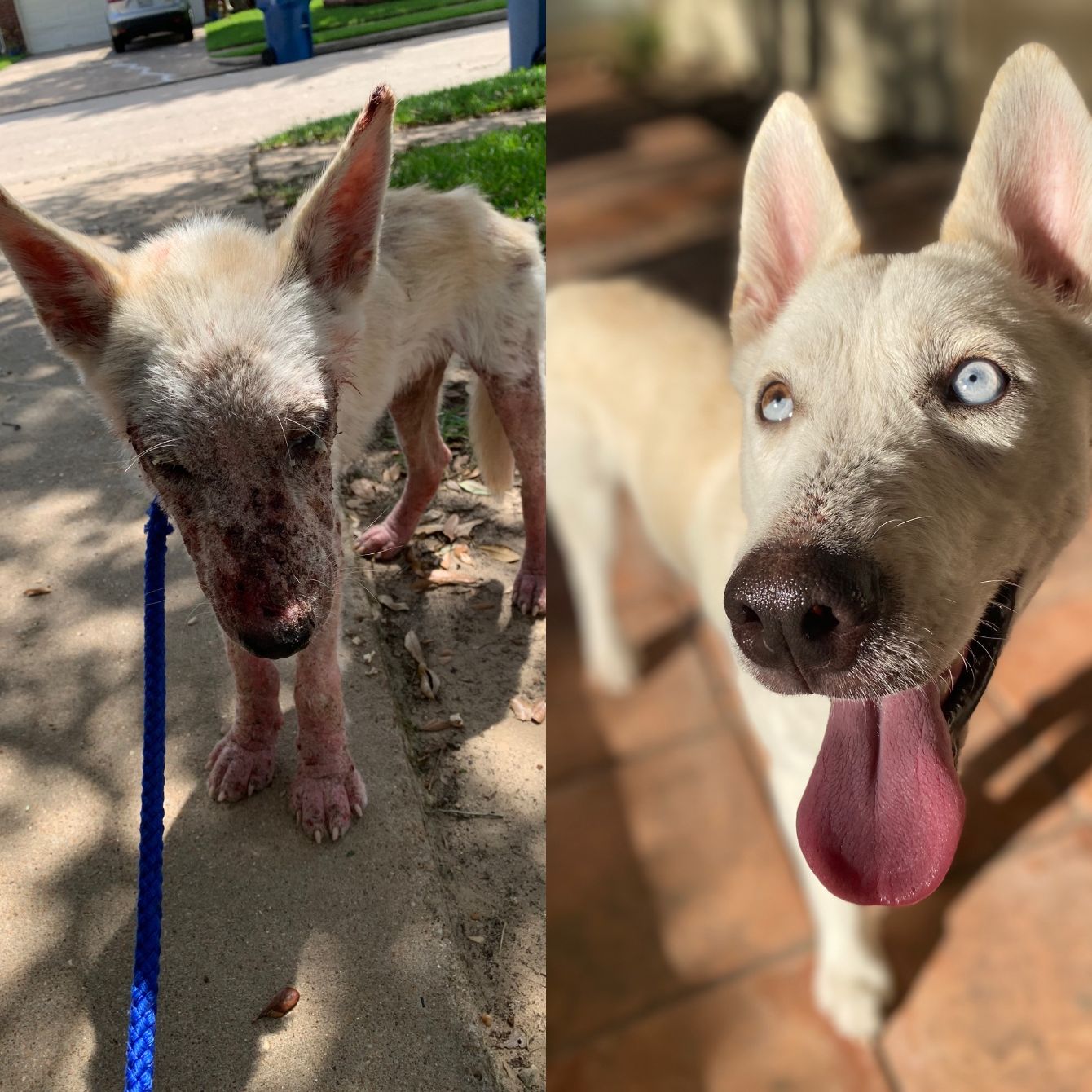 About the caitiesfosterfam campaign on Bonfire 4