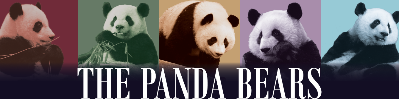 zoo atlanta panda shirt