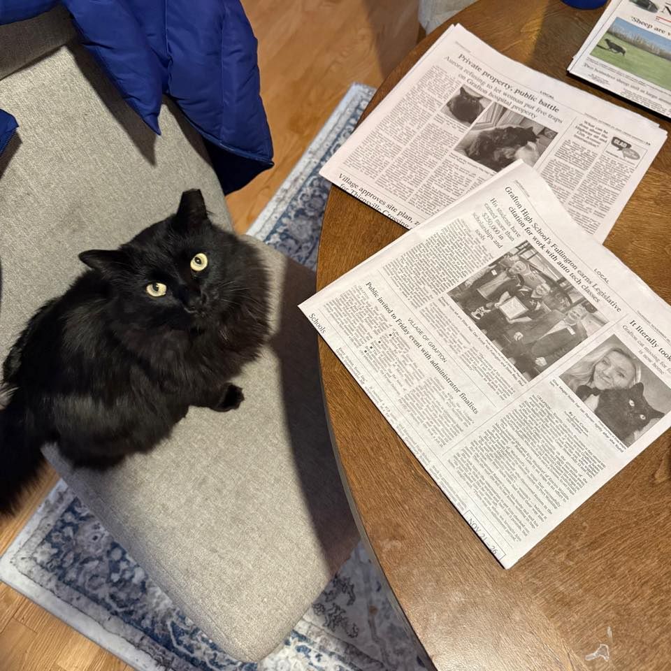 About the  campaign on Bonfire 2