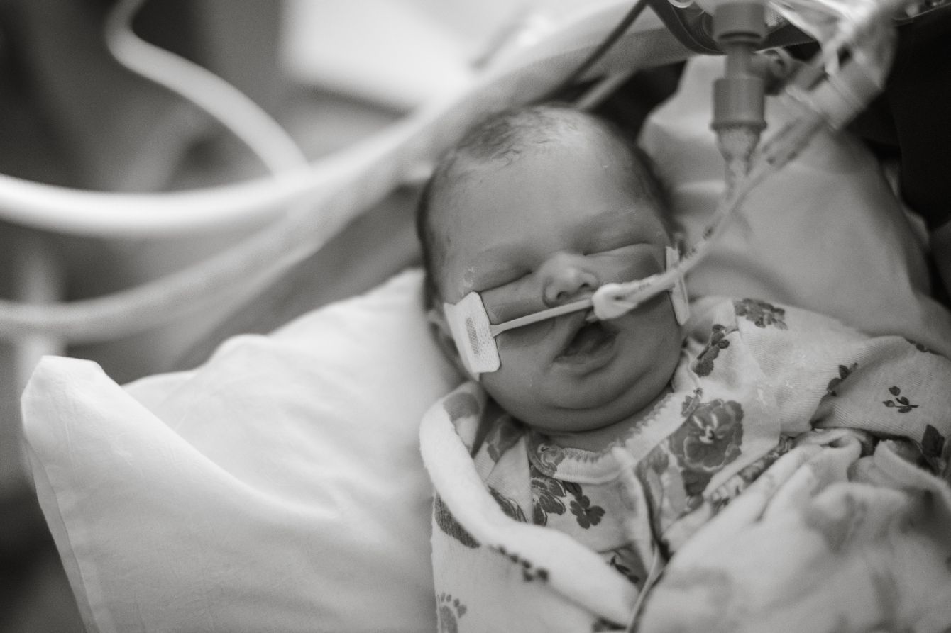 About the We Carry Their Hearts???(2026)&nbsp; campaign on Bonfire 2