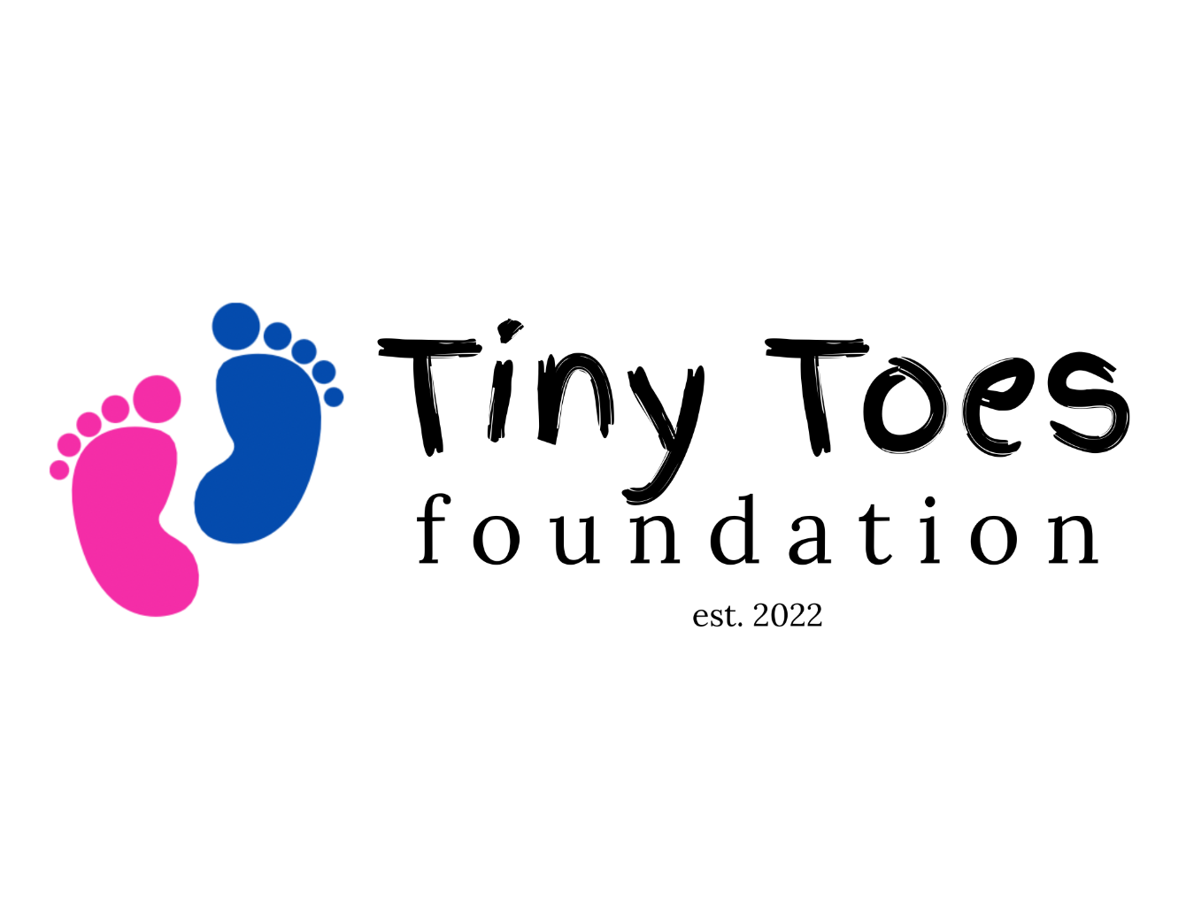 About the Big Hearts for Tiny Toes campaign on Bonfire 2