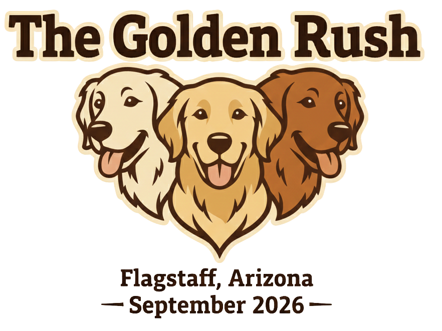 About the The Golden Rush campaign on Bonfire 2