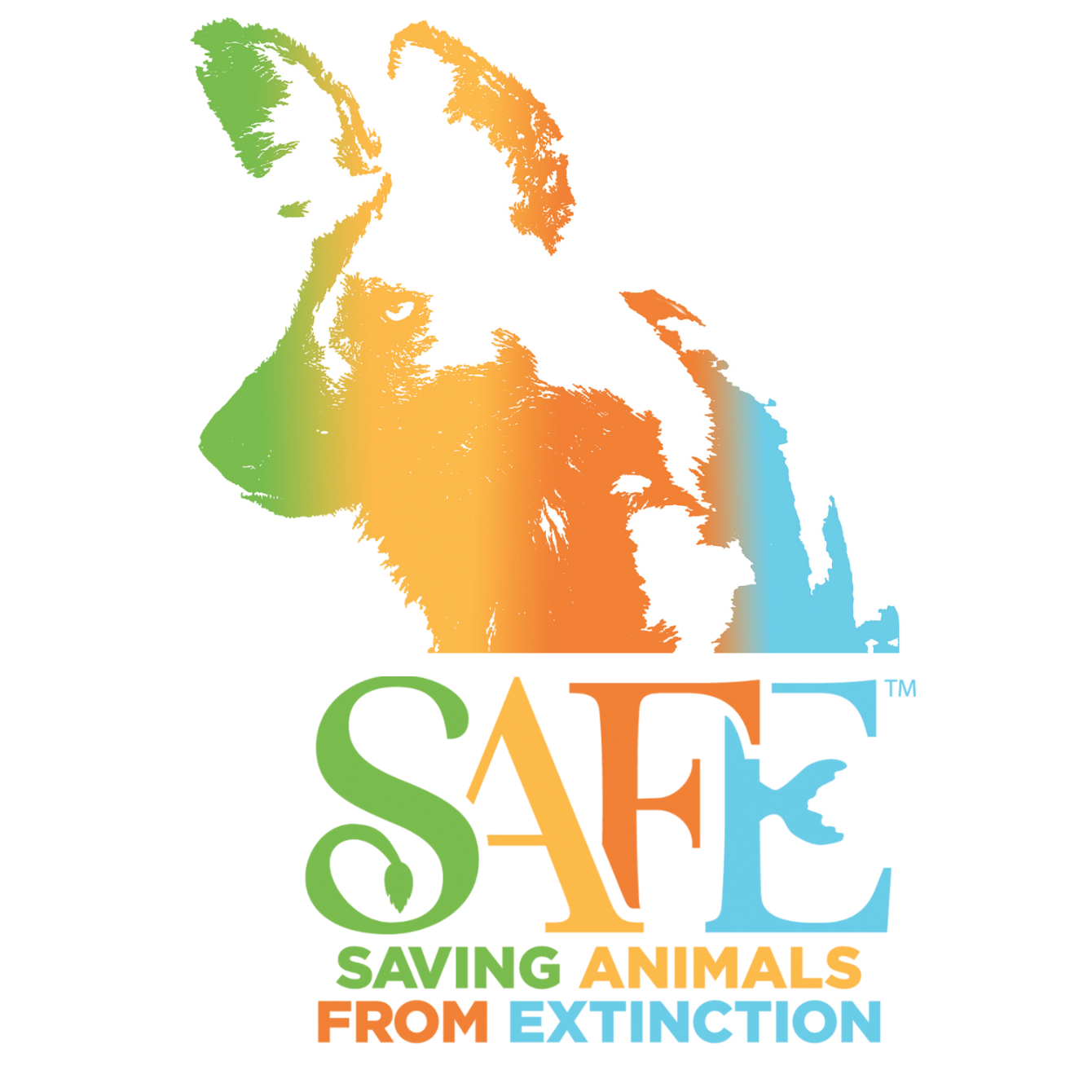 About the SAFE African Painted Dog&nbsp; w/SAFE dog logo campaign on Bonfire 2
