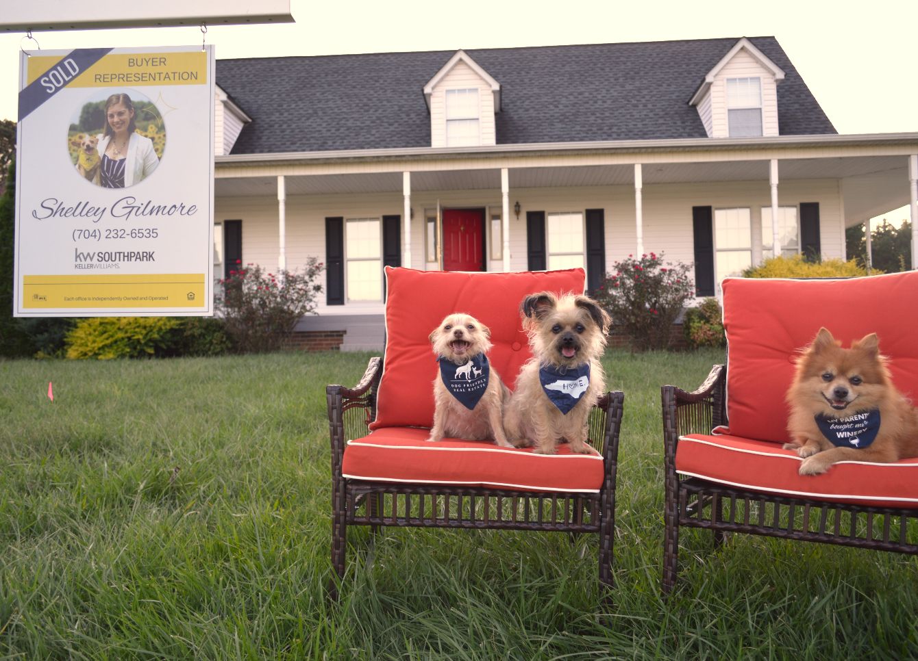 About the Hamilton's Friend campaign on Bonfire 2