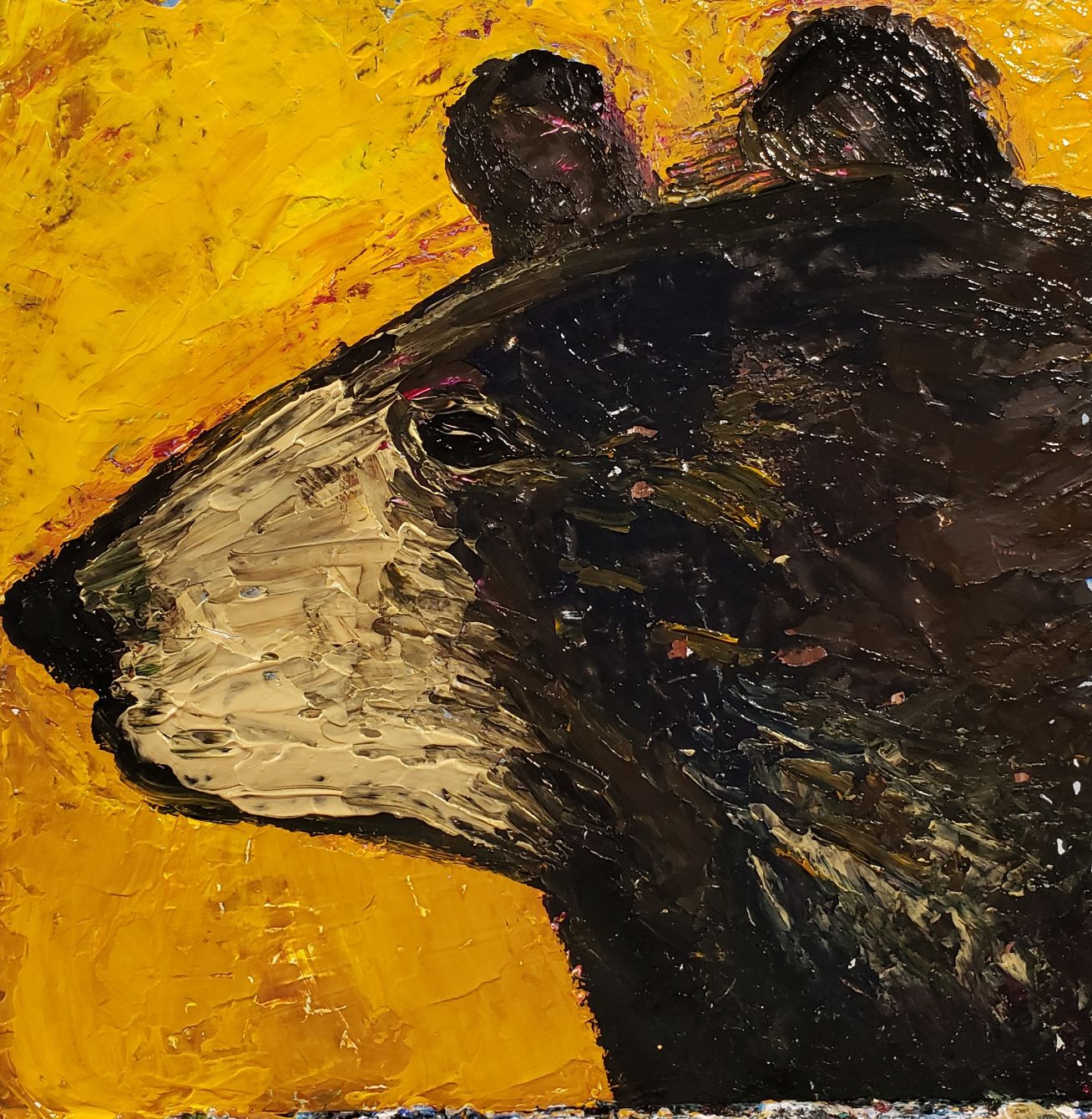 About the  campaign on Bonfire 3