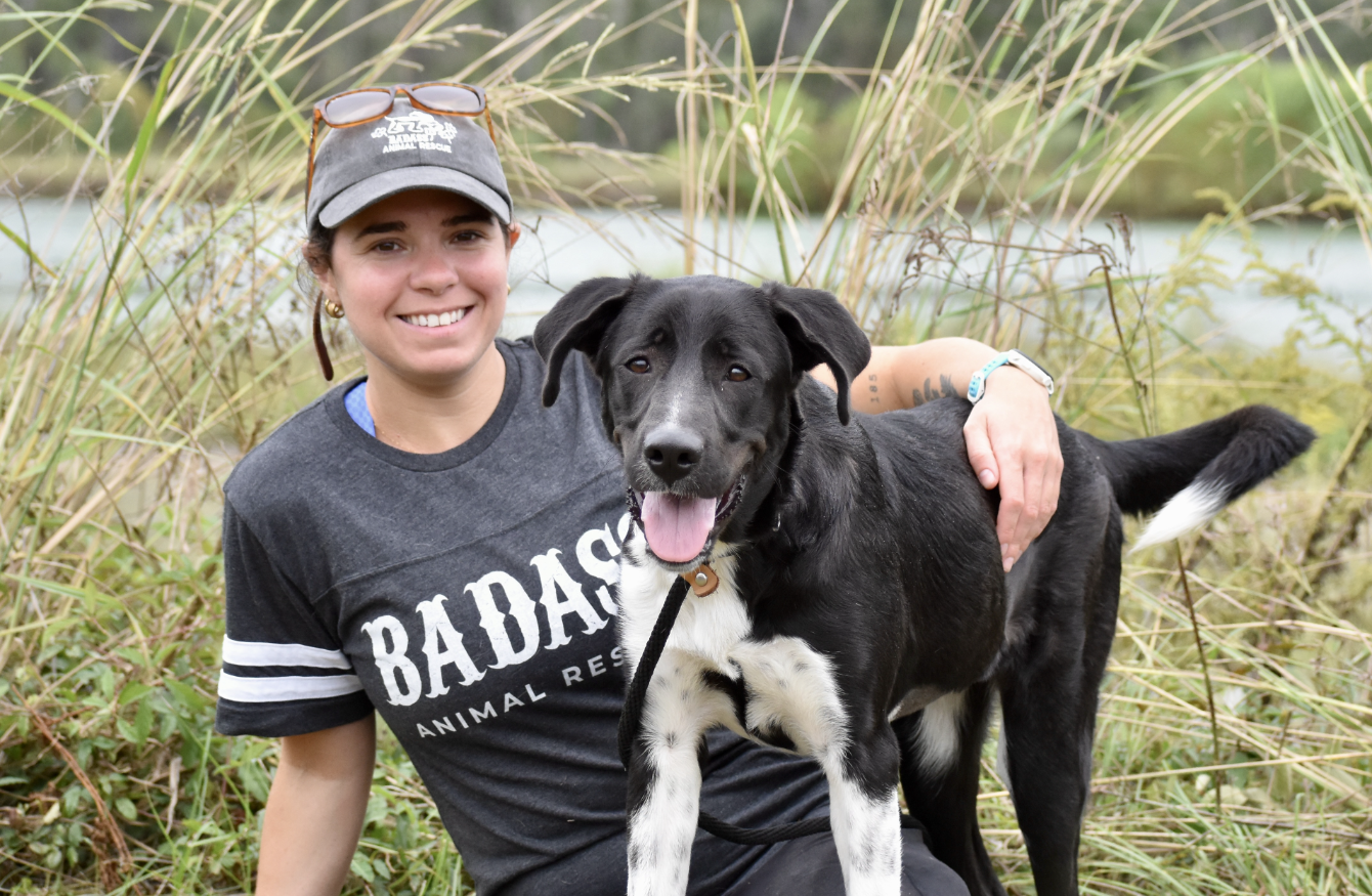 About the Badass Hip Pack campaign on Bonfire 2