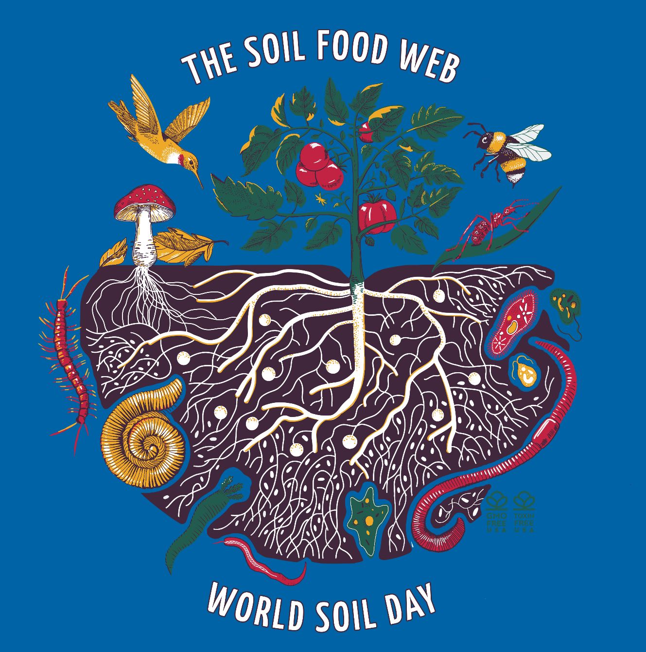 About the The Soil Food Web - Organic T-Shirt campaign on Bonfire 6