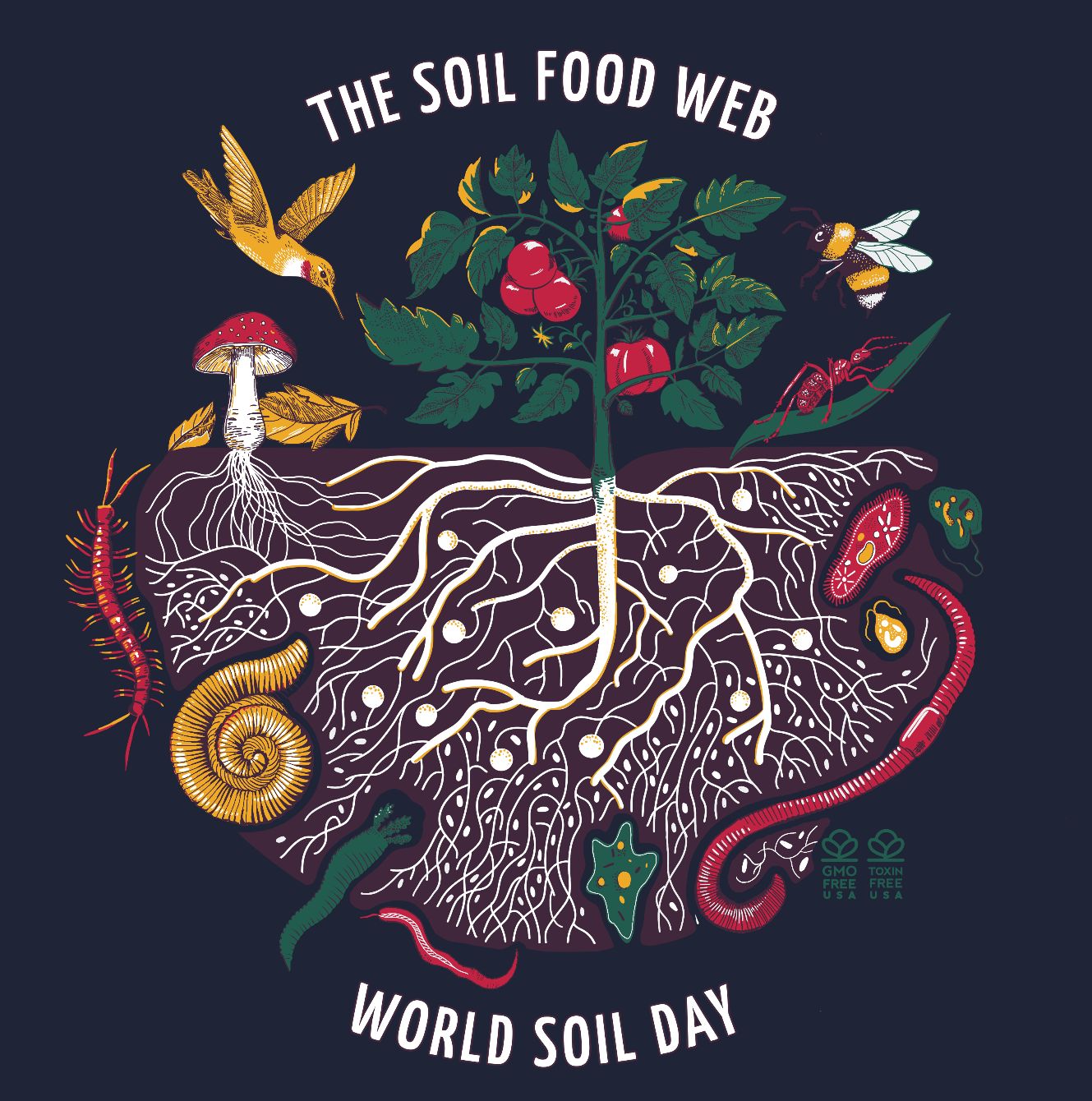 About the The Soil Food Web - Organic T-Shirt campaign on Bonfire 8