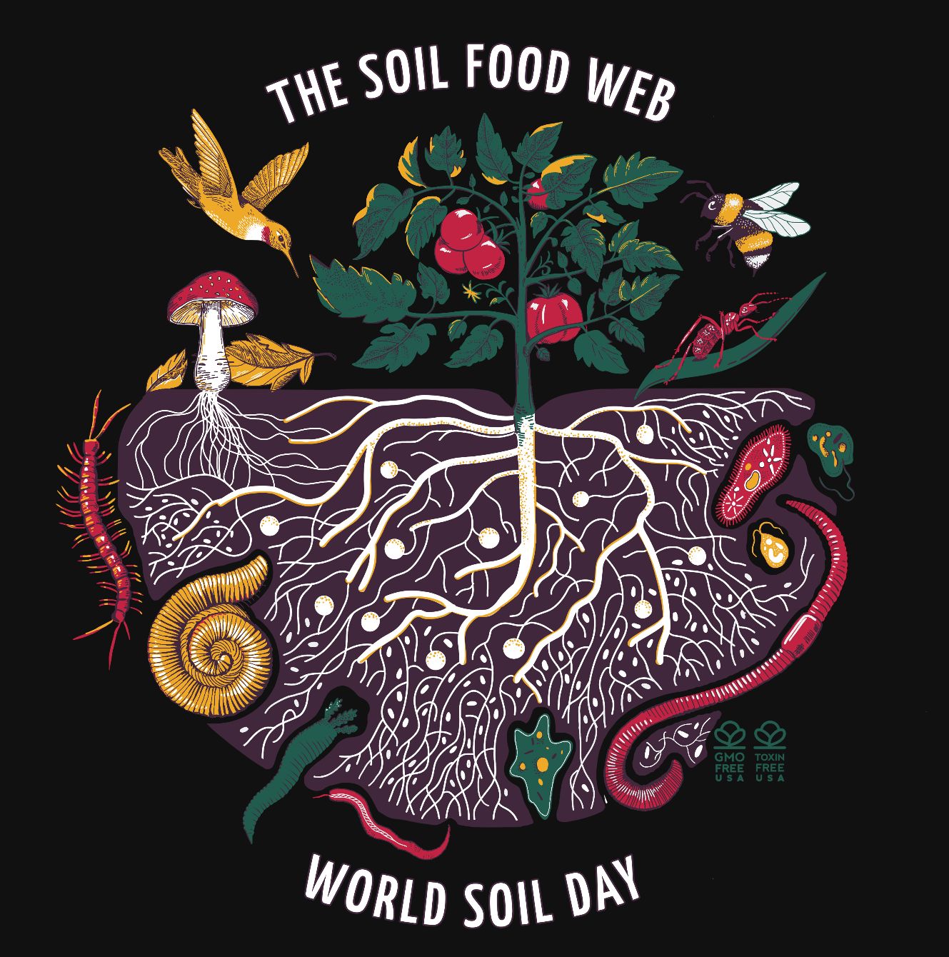 About the The Soil Food Web - Organic T-Shirt campaign on Bonfire 4