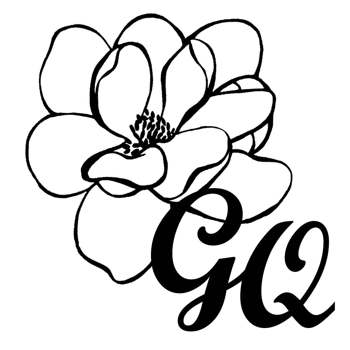 About the Updated GQ Merch! campaign on Bonfire 2