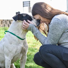 About the  campaign on Bonfire 2