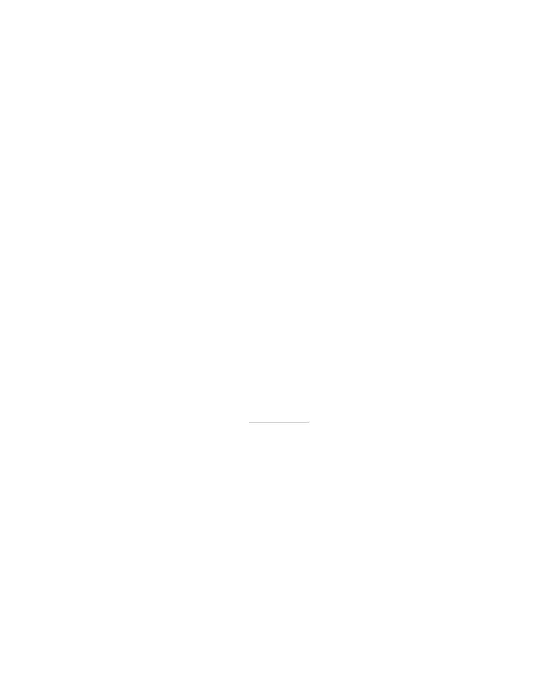 About the Norwich University MUN campaign on Bonfire 2