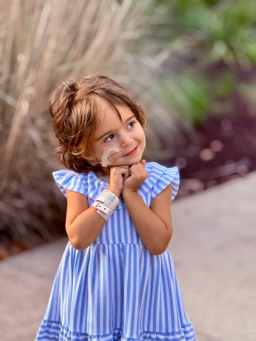 About the  campaign on Bonfire 2