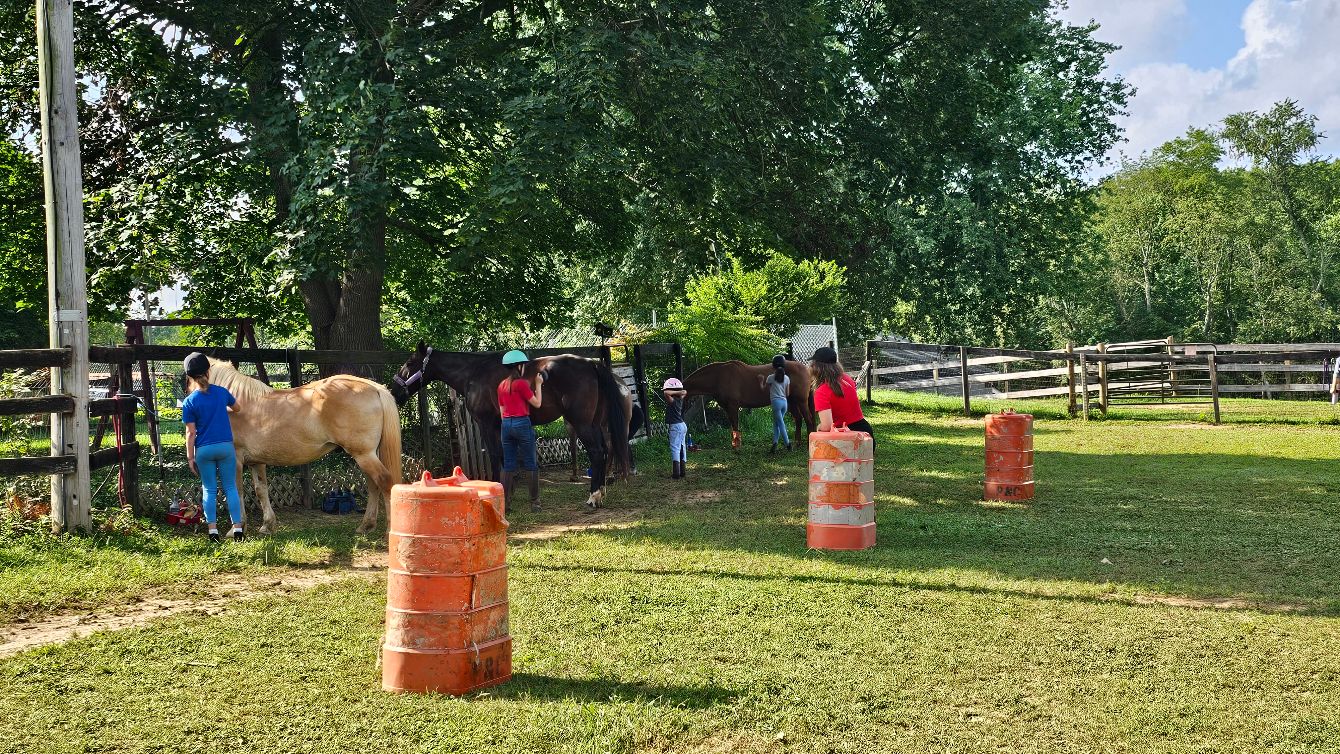 About the Support the KHEE Ponies - In Style! campaign on Bonfire 2