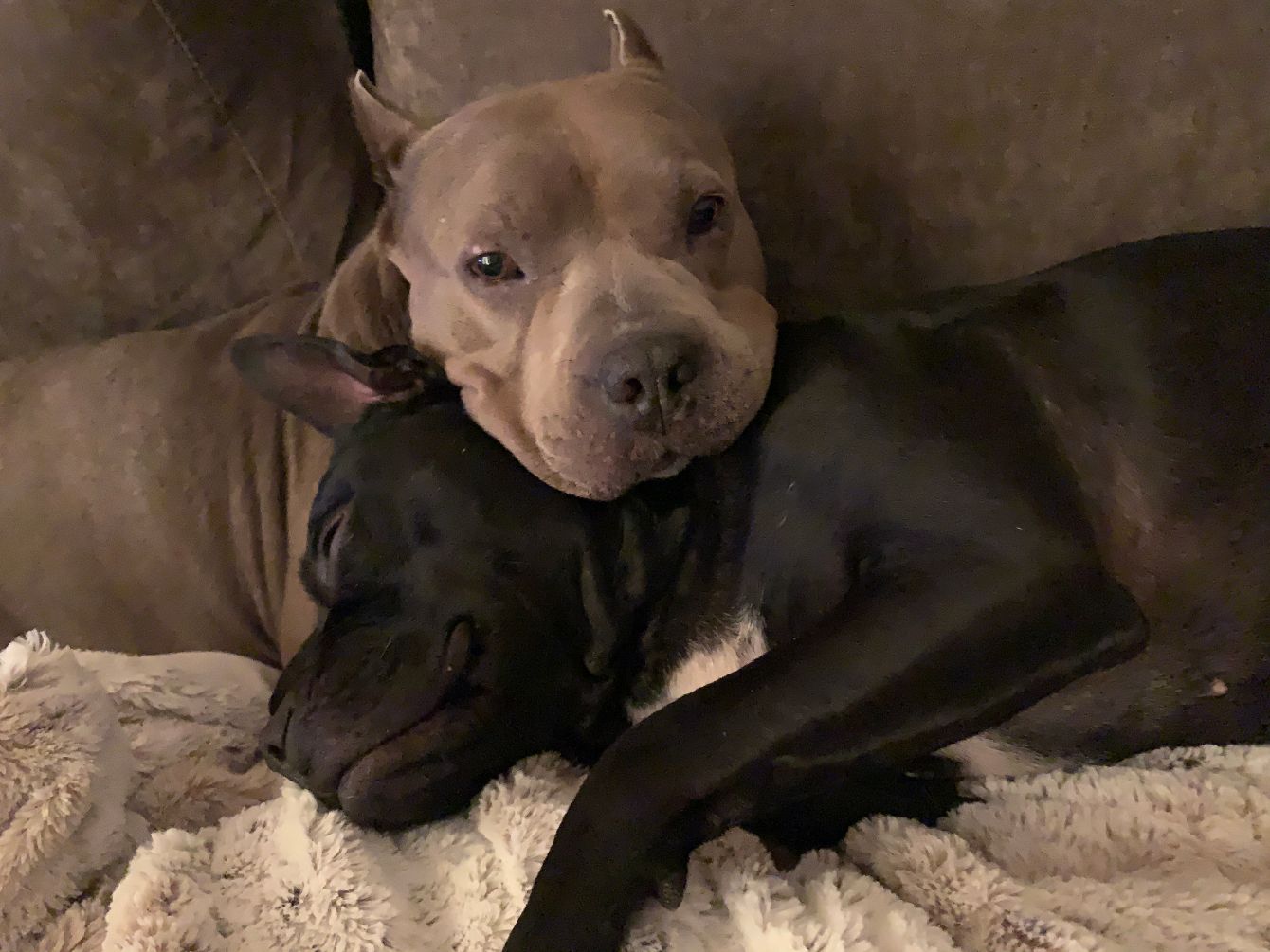 About the END DISCRIMINATION - SALLY & TODD campaign on Bonfire 2