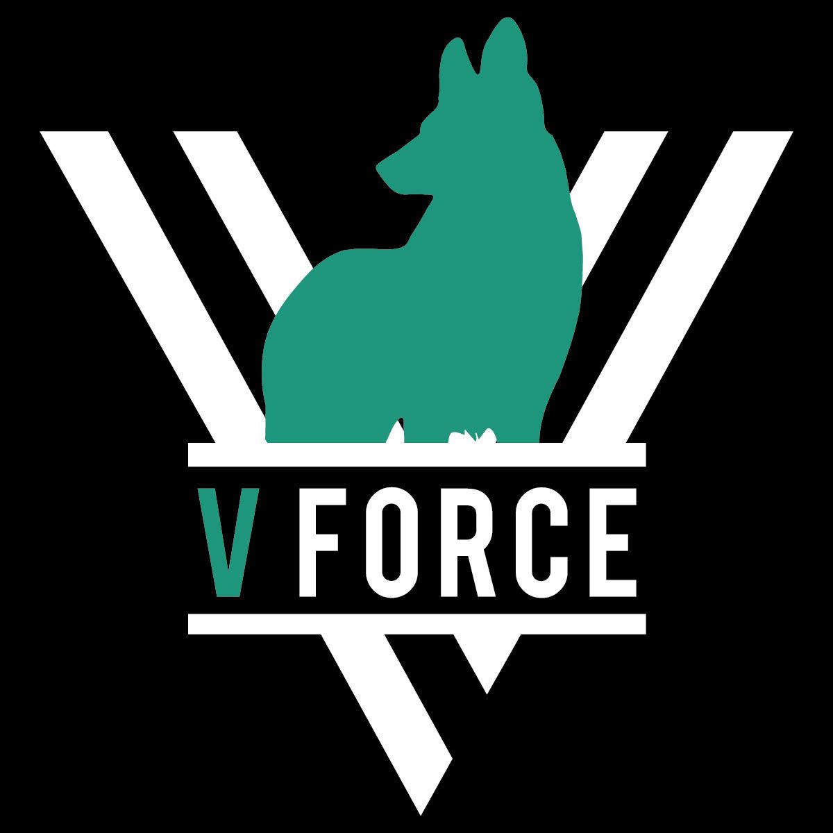 About the V force Dog Training Logo campaign on Bonfire 2