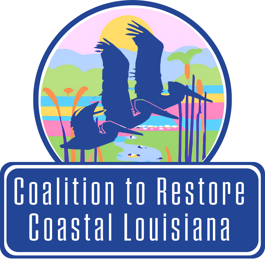 About the Vibrant CRCL Shirt campaign on Bonfire 2