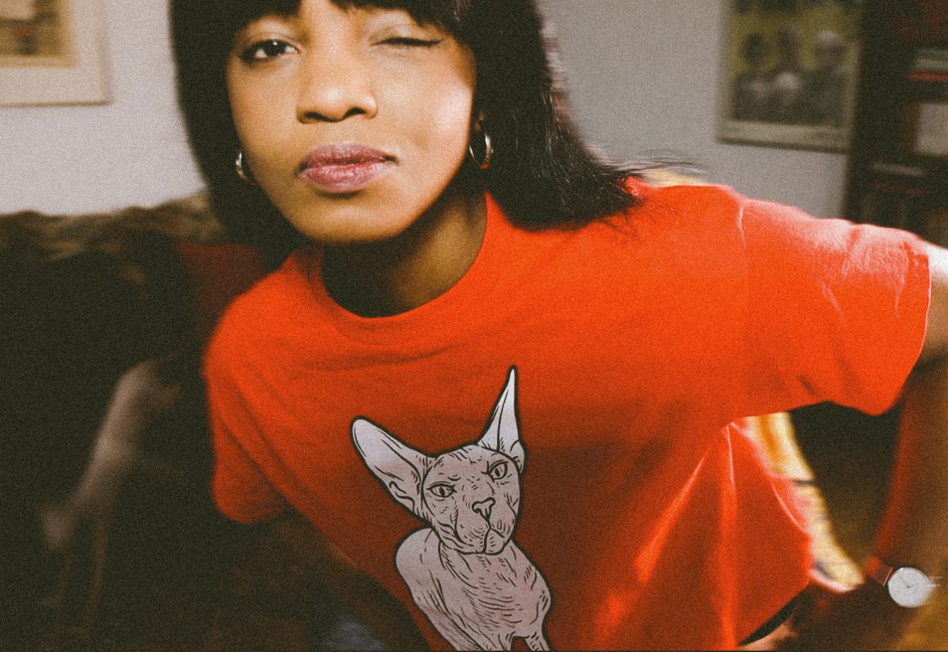 About the  campaign on Bonfire 2