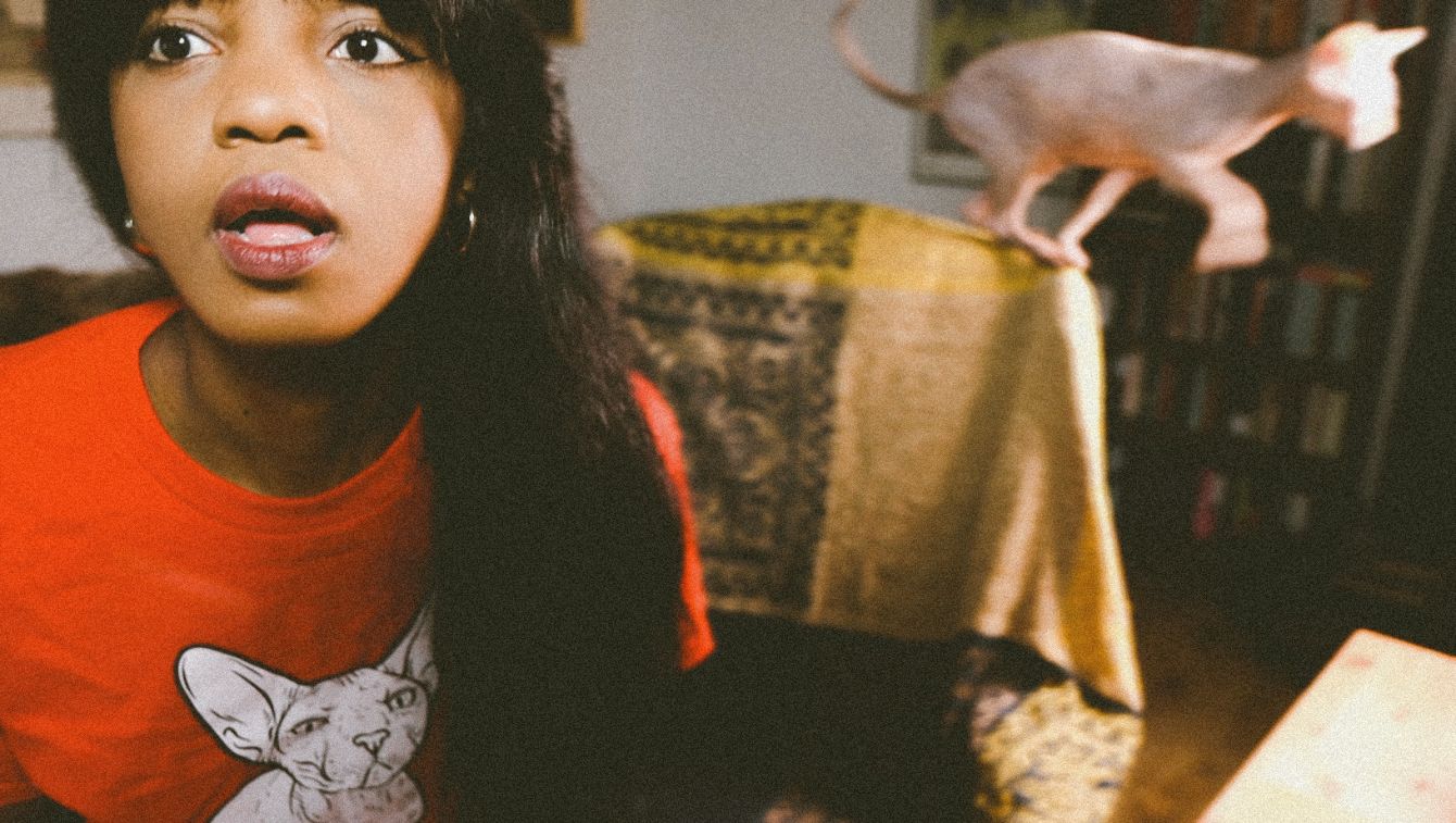 About the  campaign on Bonfire 6