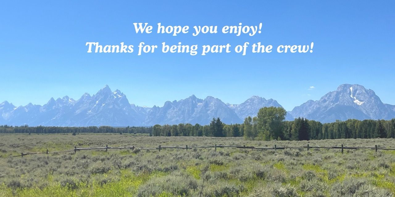 About the  campaign on Bonfire 2