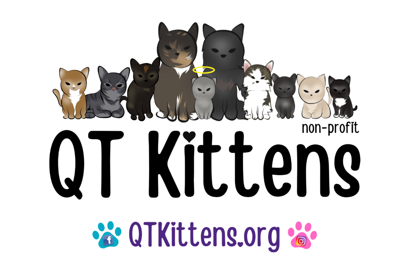 About the Buy A Tote Bag. &nbsp;Send a QT Kitten to College! campaign on Bonfire 4