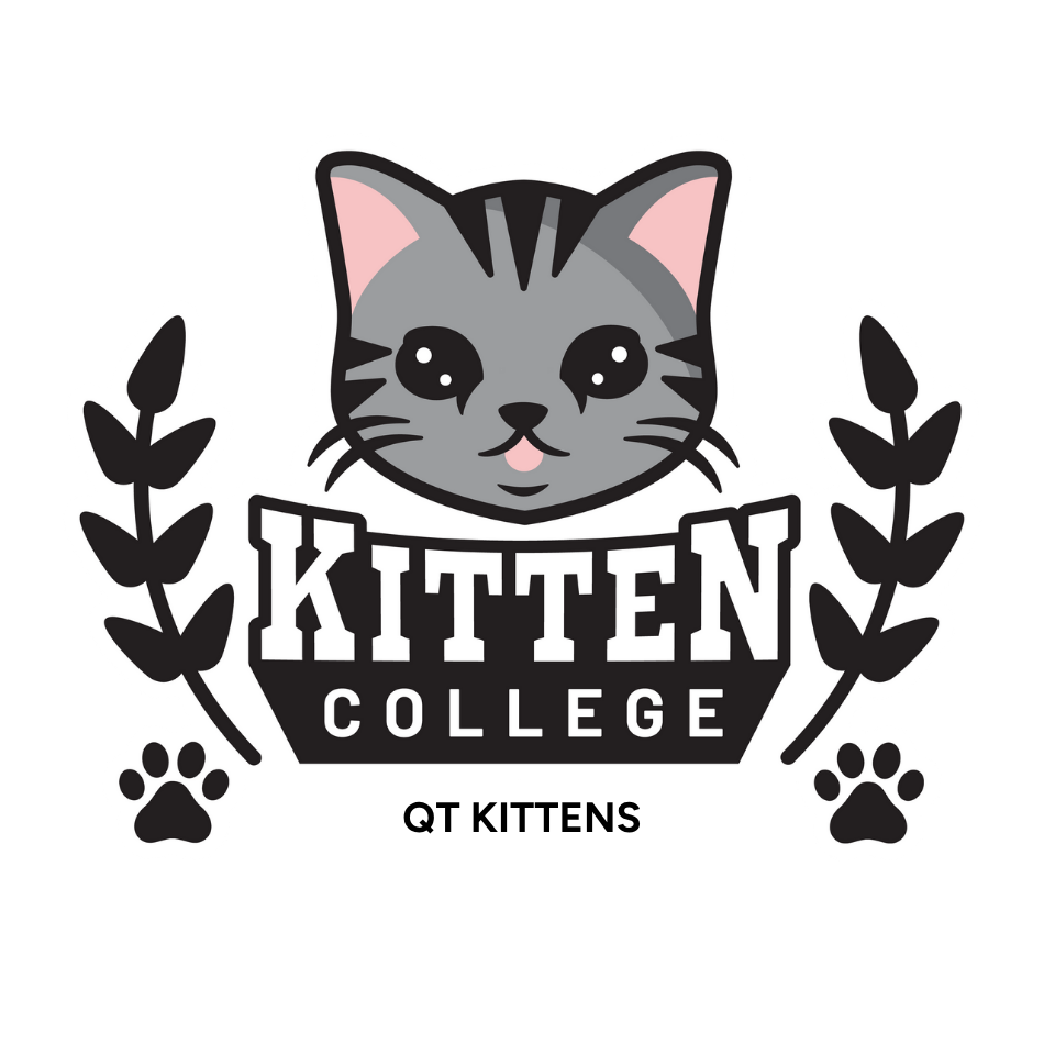 About the Buy A Tote Bag. &nbsp;Send a QT Kitten to College! campaign on Bonfire 5