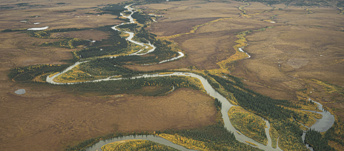 About the Stop the Ambler Road campaign on Bonfire 0