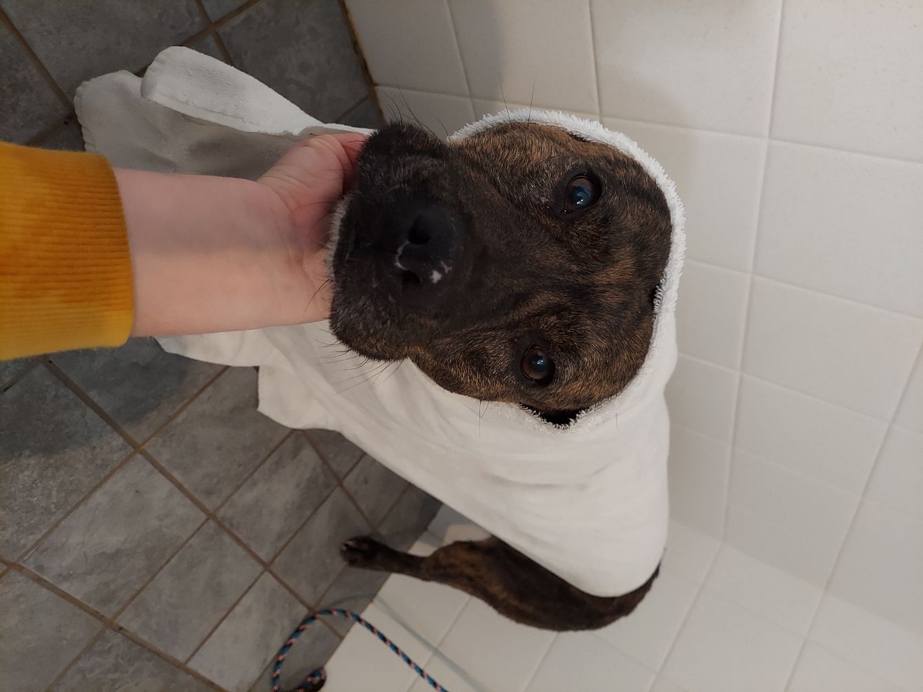 About the CCRT Merchandise campaign on Bonfire 6