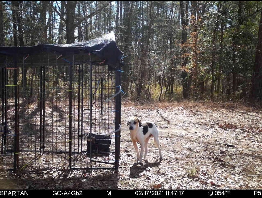 About the CCRT Merchandise campaign on Bonfire 3