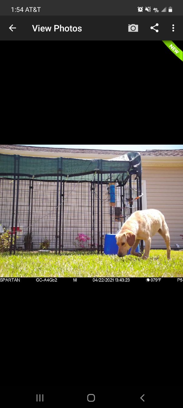 About the CCRT Merchandise campaign on Bonfire 4