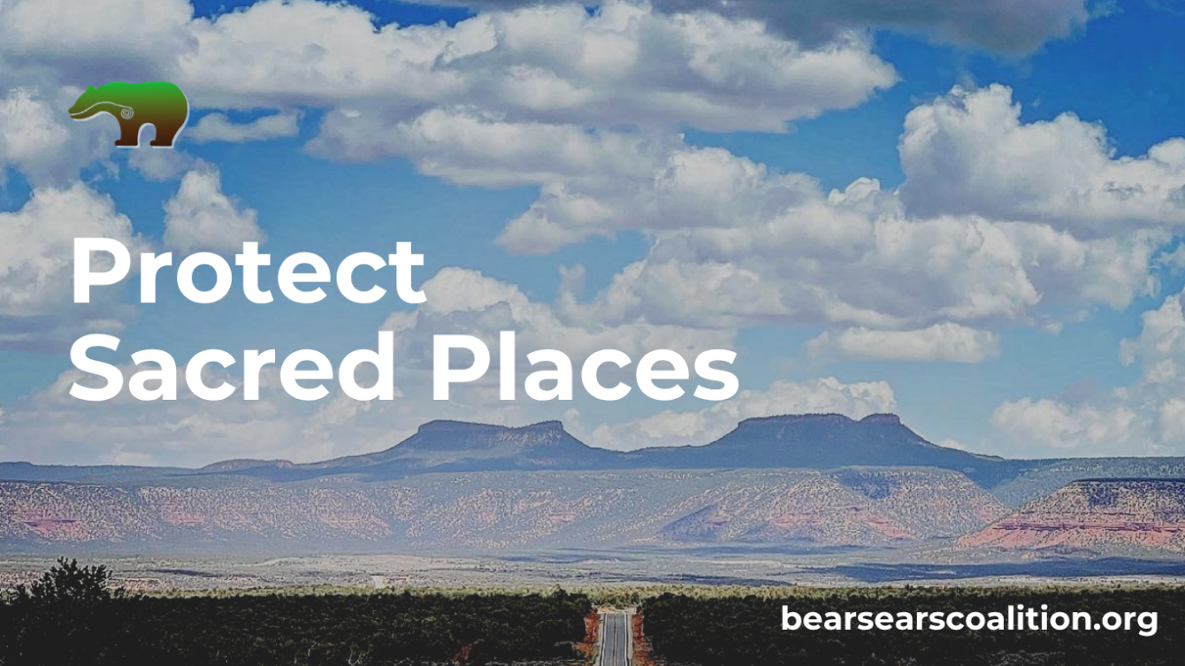 About the Protect Sacred Places campaign on Bonfire 1