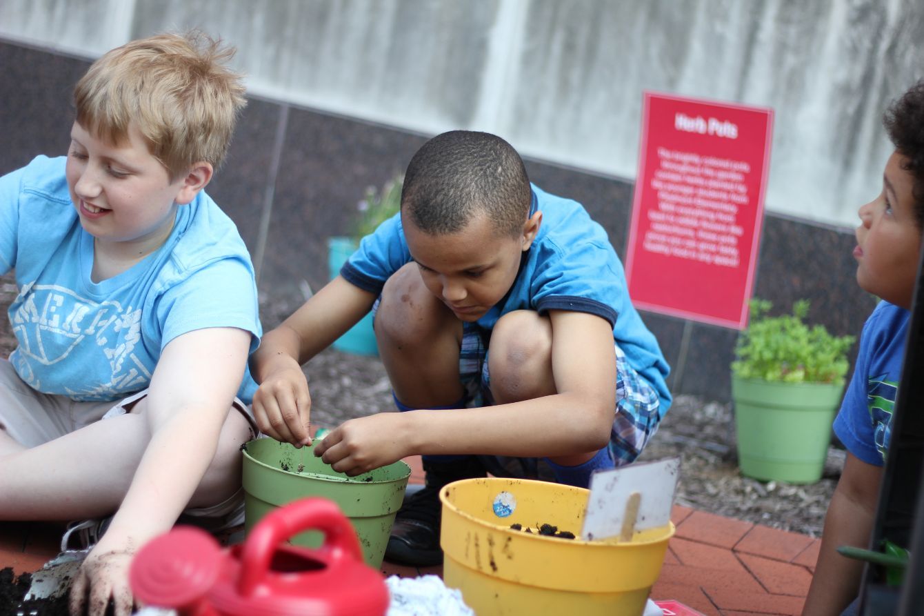 About the Root For Gardens! campaign on Bonfire 2