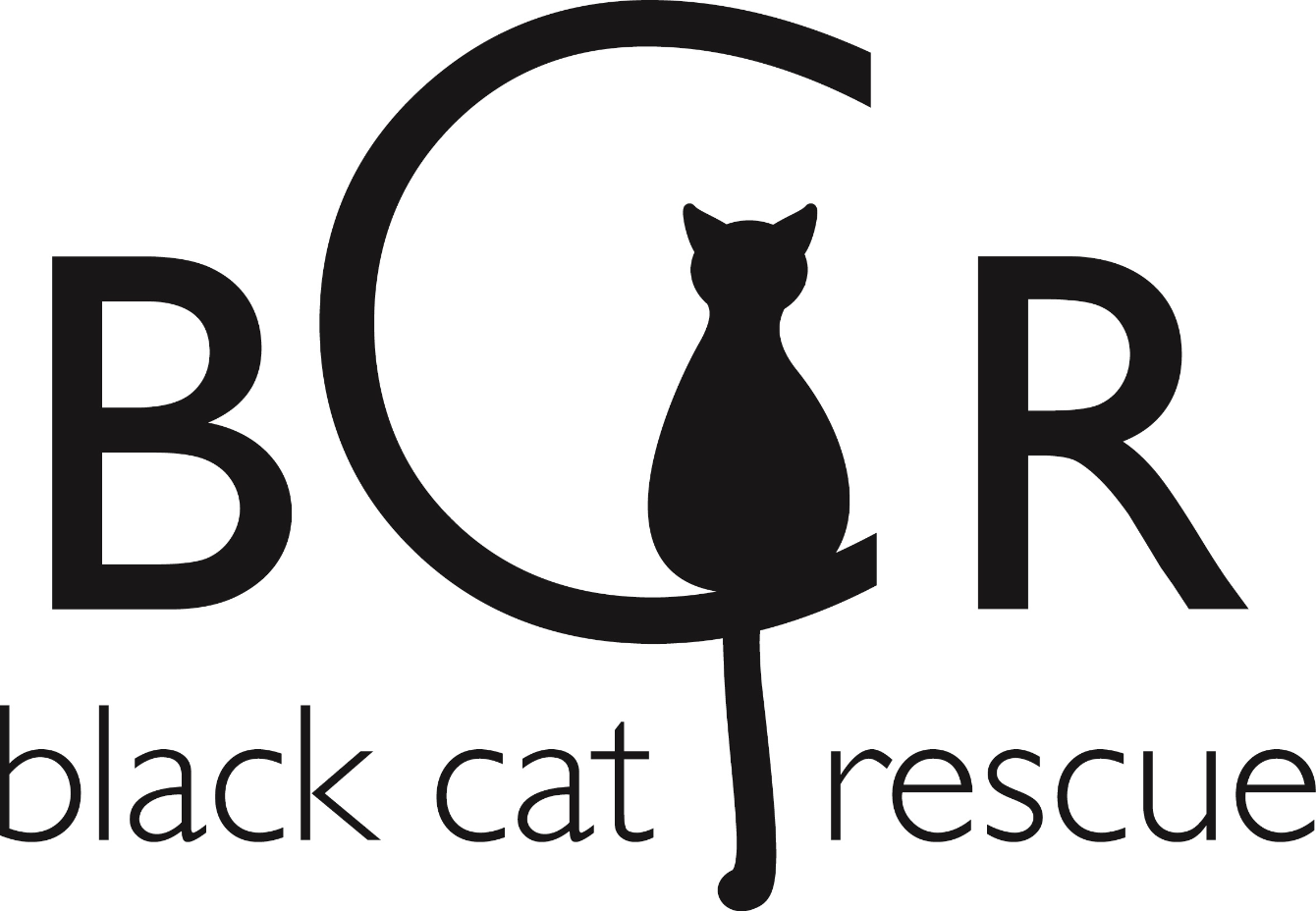 About the BCR Adopt-A-Cat Month Youth Shirts! campaign on Bonfire 5
