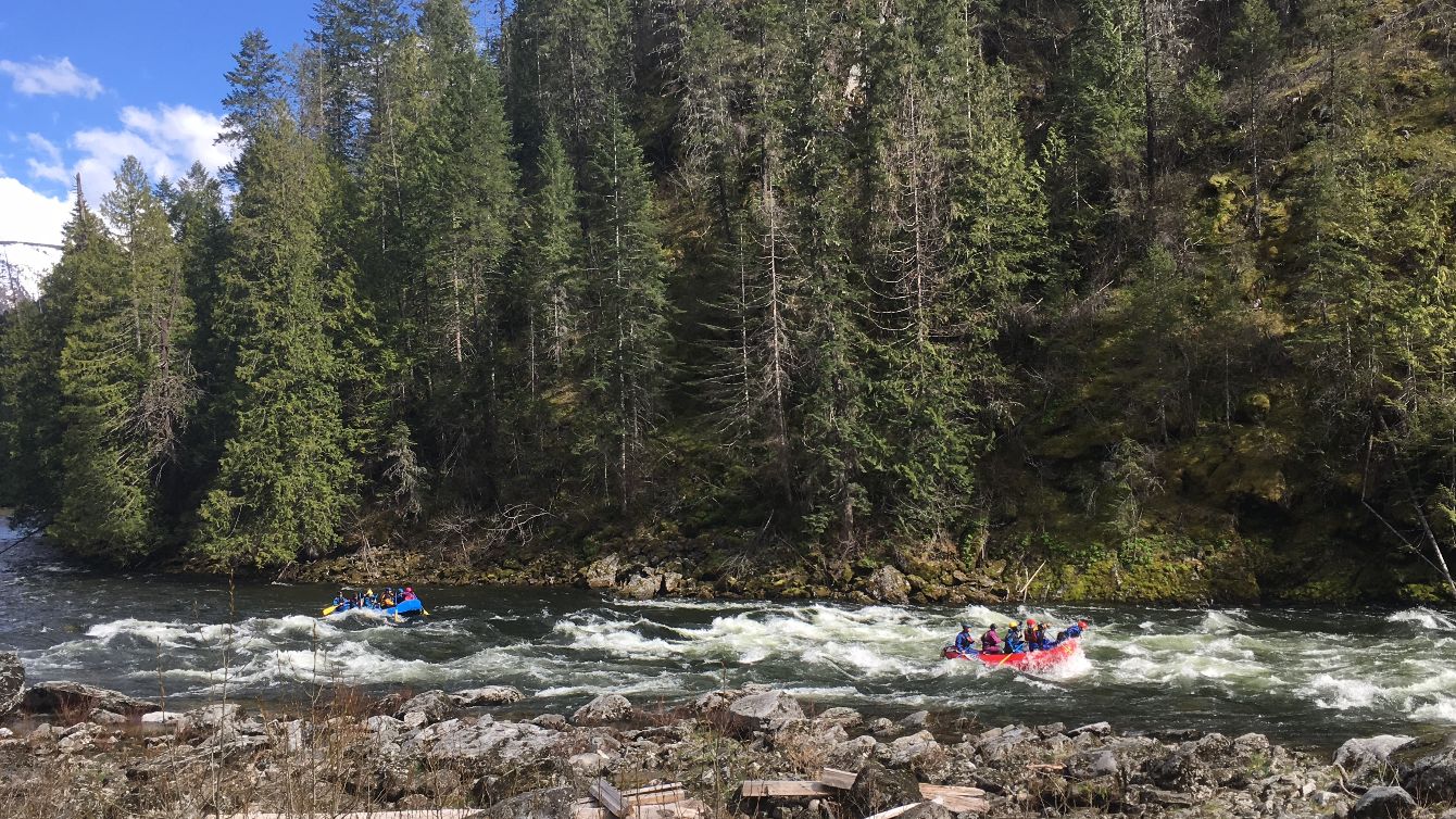 About the Mammoth Stealth campaign on Bonfire 2