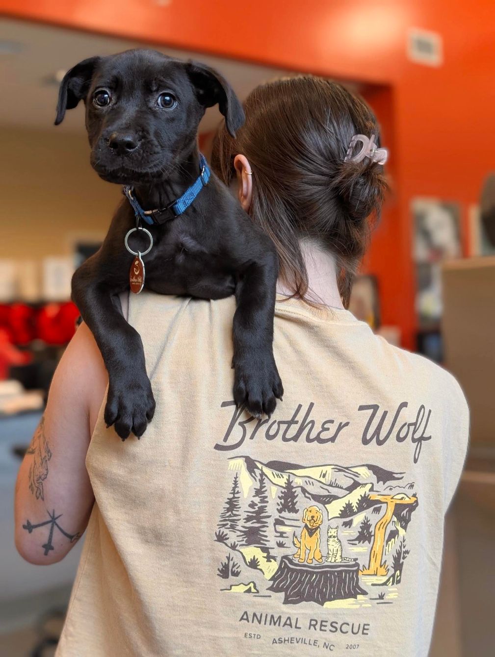 About the Brother Wolf Animal Rescue Hike Scene campaign on Bonfire 2