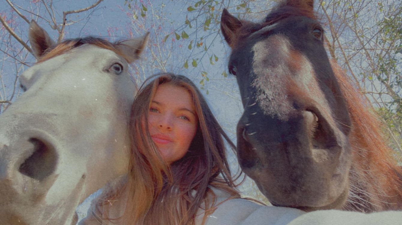 About the  campaign on Bonfire 2