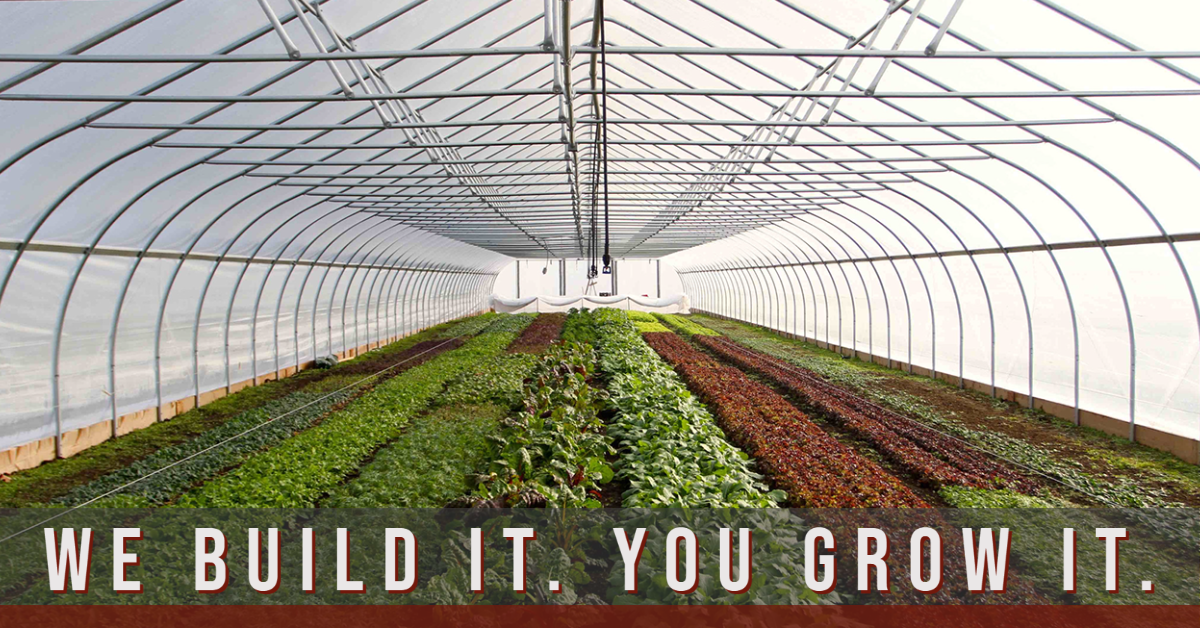 About the Nifty Hoops Merch campaign on Bonfire 2